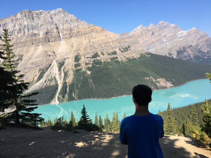 Photo 2017-08-10, 12 53 26 PM